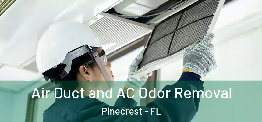 Air Duct and AC Odor Removal Pinecrest - FL