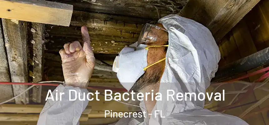 Air Duct Bacteria Removal Pinecrest - FL