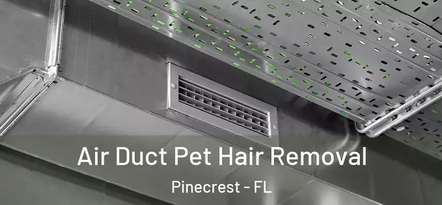 Air Duct Pet Hair Removal Pinecrest - FL