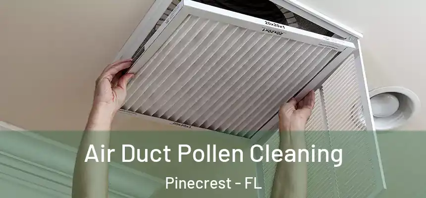 Air Duct Pollen Cleaning Pinecrest - FL