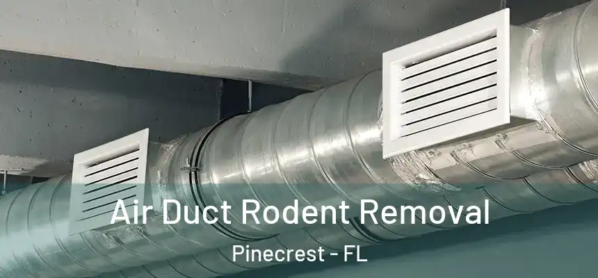 Air Duct Rodent Removal Pinecrest - FL