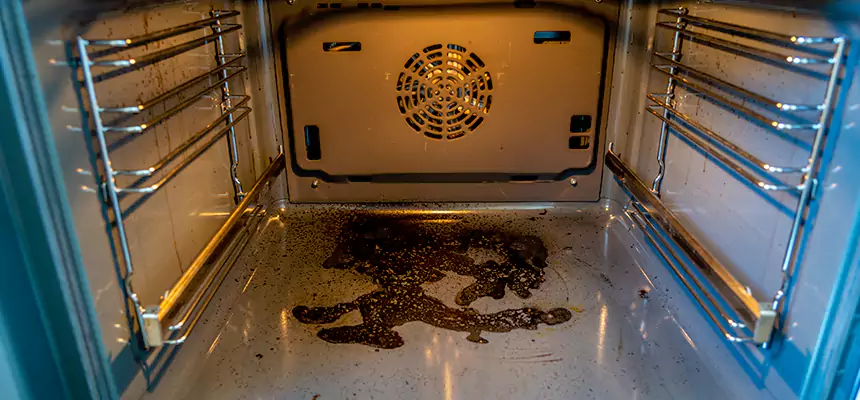 Our Dryer Vent Mold Cleaning Services in Pinecrest, FL