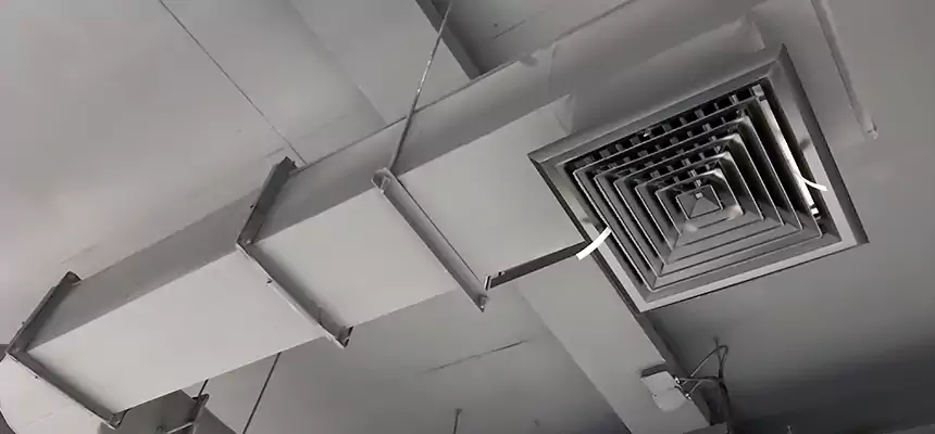 Our Pest Removal From Ducts Services in Pinecrest, FL