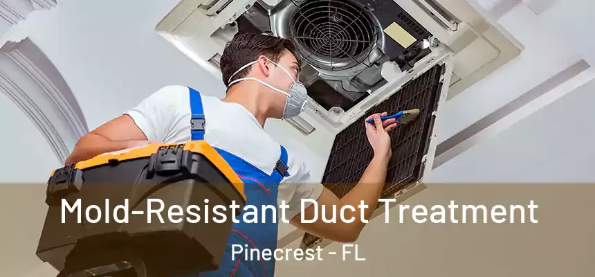 Mold-Resistant Duct Treatment Pinecrest - FL