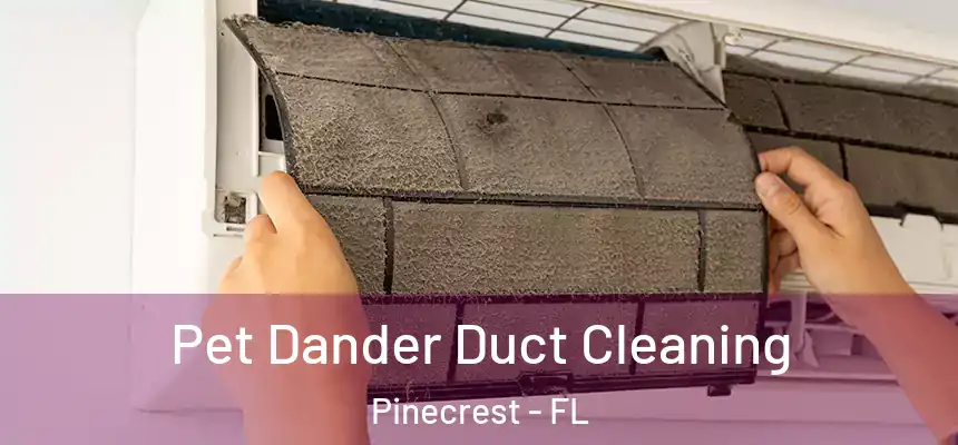 Pet Dander Duct Cleaning Pinecrest - FL