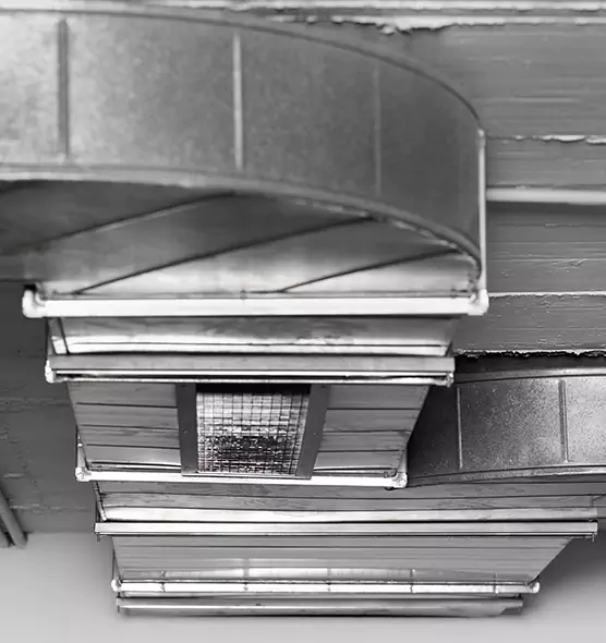 Professional Air Duct Pest Removal in Pinecrest, FL