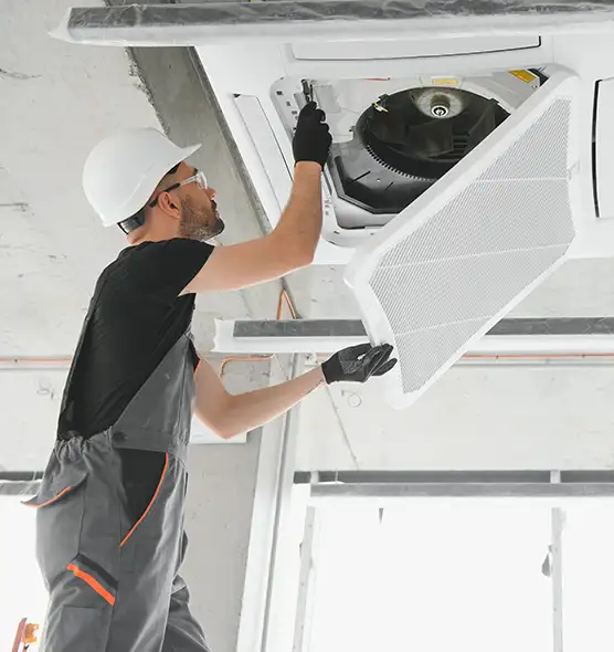 About Air Duct Rodent Removal in Pinecrest, FL