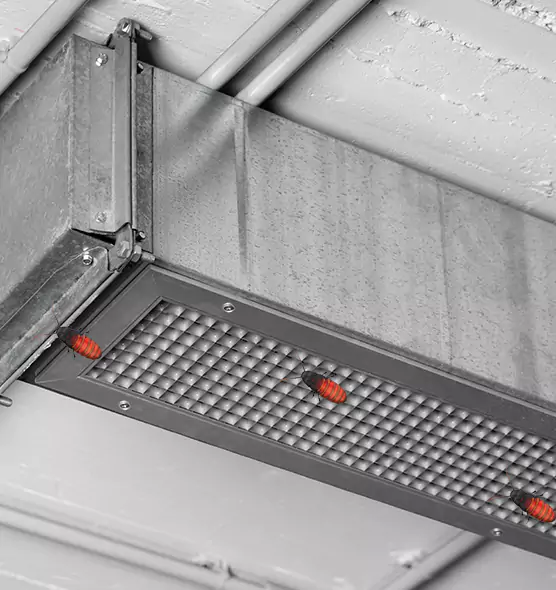 Affordable Insect Removal from Air Ducts in Pinecrest, FL