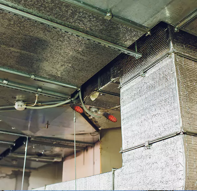 Why Homeowners & Businesses Trust Us in Pinecrest, FL?