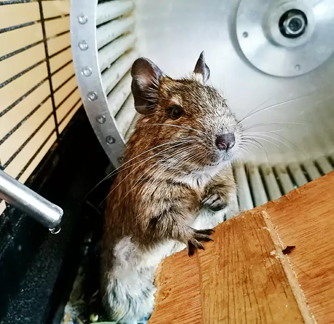 Why Homeowners & Businesses Trust Us Pinecrest, FL