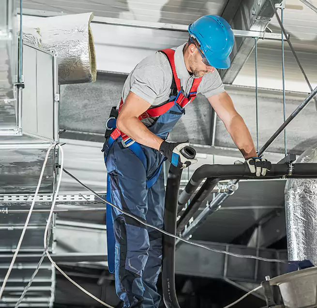 Why Homeowners & Businesses Trust Us in Pinecrest, FL?