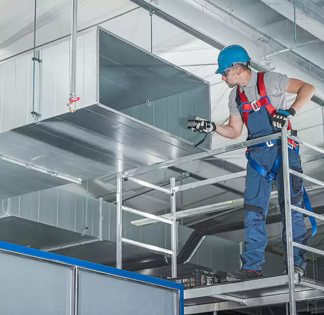 Why Homeowners & Businesses Trust Us in Pinecrest, FL?