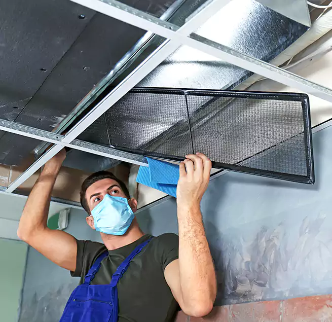 Why Homeowners Businesses Trust Us in Pinecrest, FL