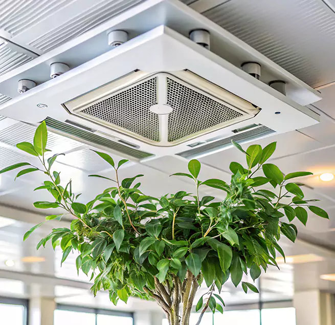 Why Homeowners & Businesses Trust Us in Pinecrest, FL