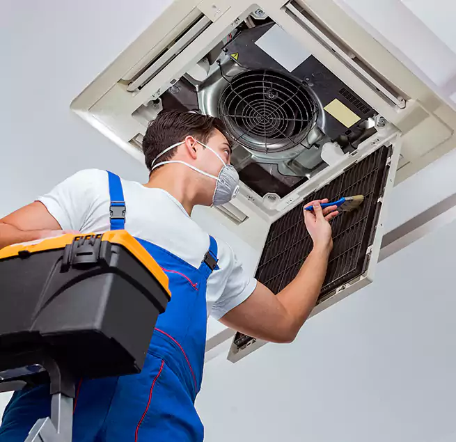 Why Homeowners & Businesses Trust Us in Pinecrest, FL?