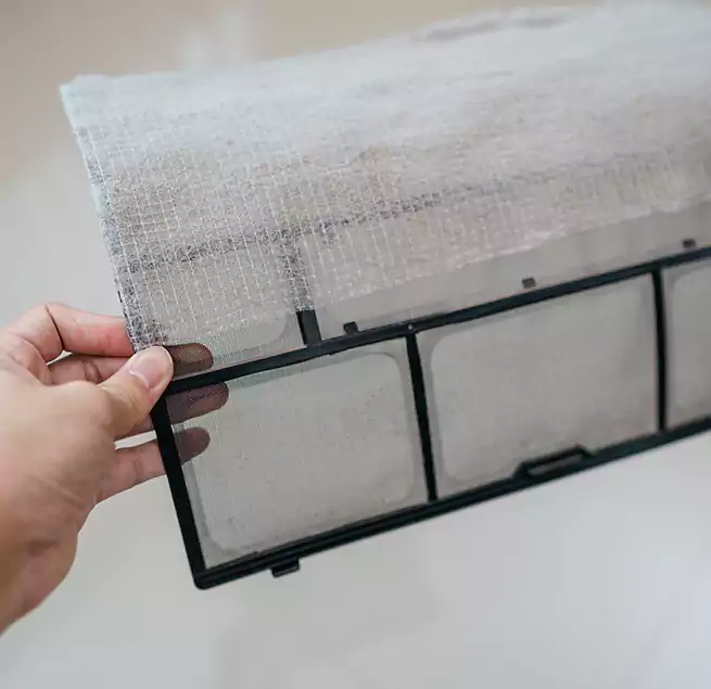 Why Homeowners & Businesses Trust Us in Pinecrest, FL?