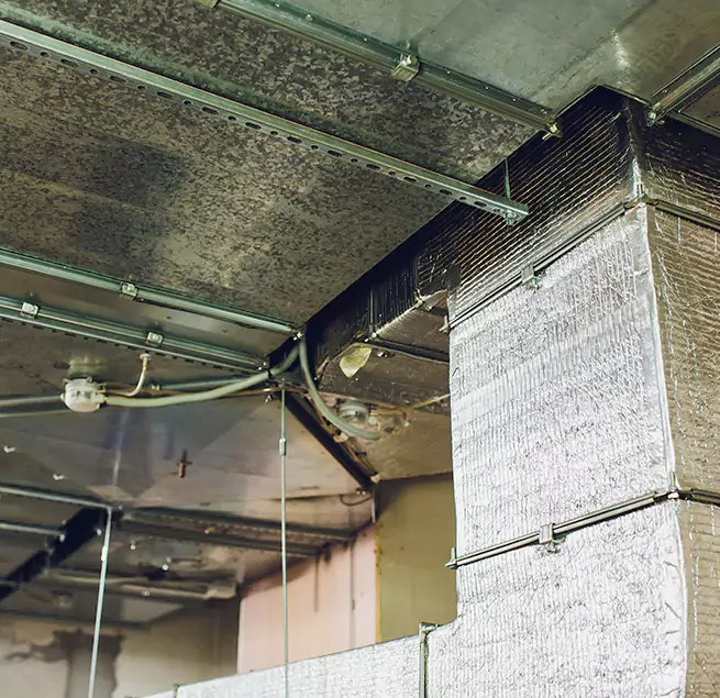 Why Homeowners & Businesses Trust Us in Pinecrest, FL?