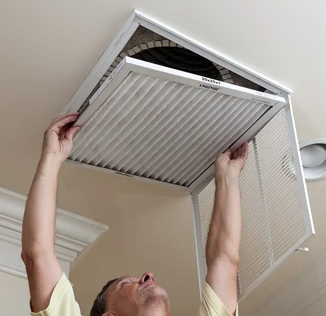 Why Homeowners & Businesses Trust Us in Pinecrest, FL?