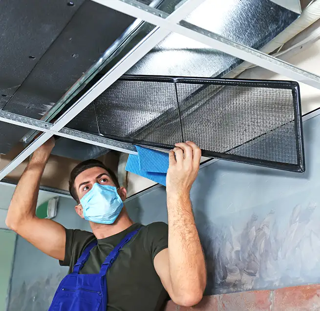 Why Homeowners & Businesses Trust Us in Pinecrest, FL?